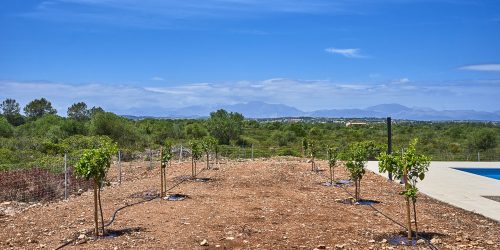 Beautiful finca with ETV licence and large plot of land in Maria de la Salut