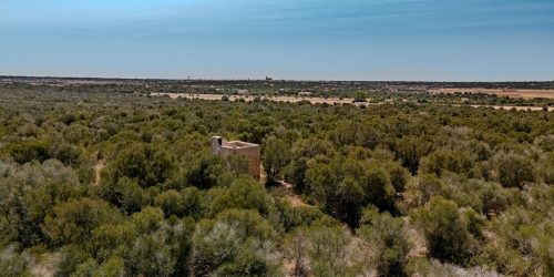 5018 - Exclusive Finca in Son Danús with Building Permit