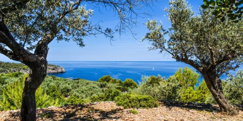 Stunning Mallorcan Style Country Estate with Spectacular Sea views  in Deia