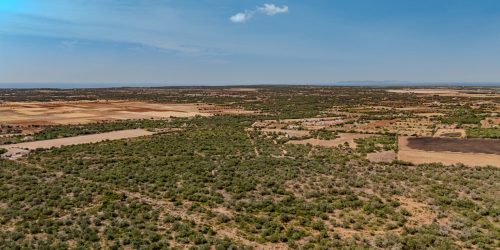 5018 - Exclusive Finca in Son Danús with Building Permit