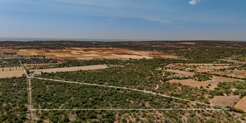5018 - Exclusive Finca in Son Danús with Building Permit